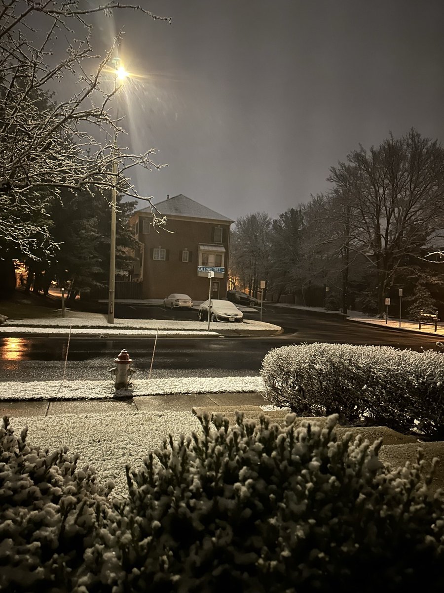 Glenlivet (@flirtwithdeath6) on Twitter photo 