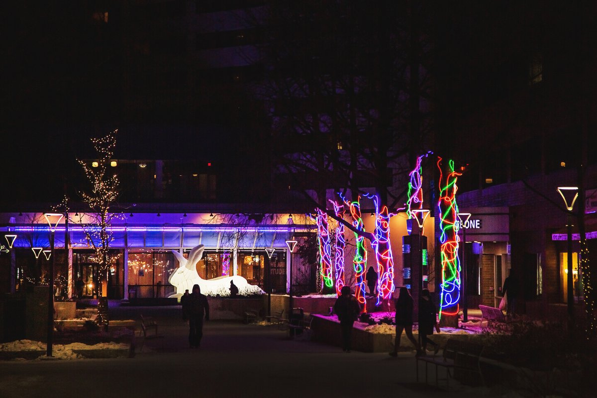 ICDowntown's tweet photo. Experience the Magic of Winter Night Lights Downtown - You Belong Here - https://t.co/kU4QkKlBt6 https://t.co/X5SfGSTJ55