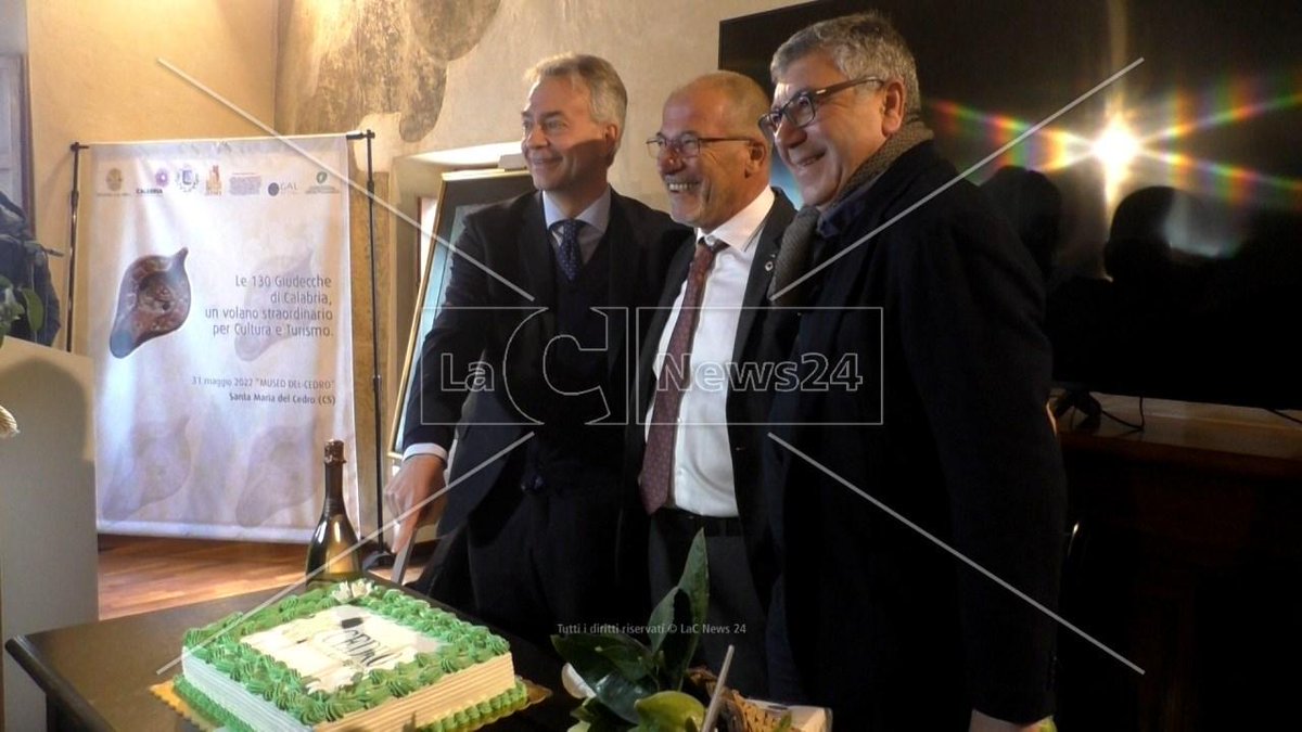 LaCnews24's tweet photo. Il Cedro di Calabria ottiene il marchio Dop, festa grande a Santa Maria: «È un giorno importante» https://t.co/wrUHVWO59g https://t.co/uYMiLXUzGg
