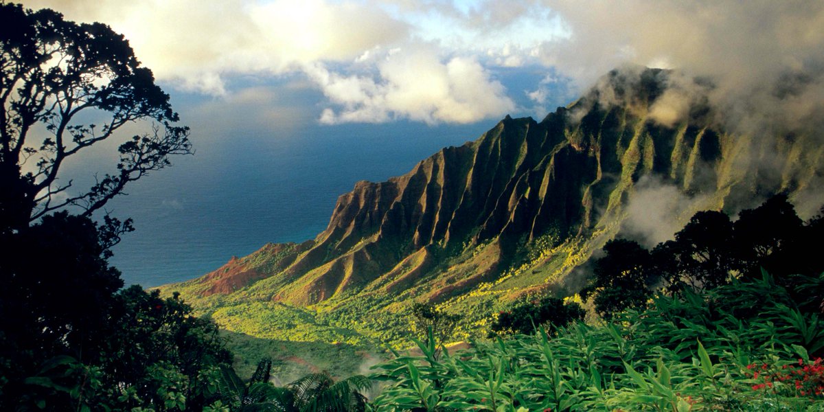 You can help close Hawai‘i’s $360 million/year conservation funding gap by supporting this important legislation to establish a green fee. 

nature.ly/3JByUg3