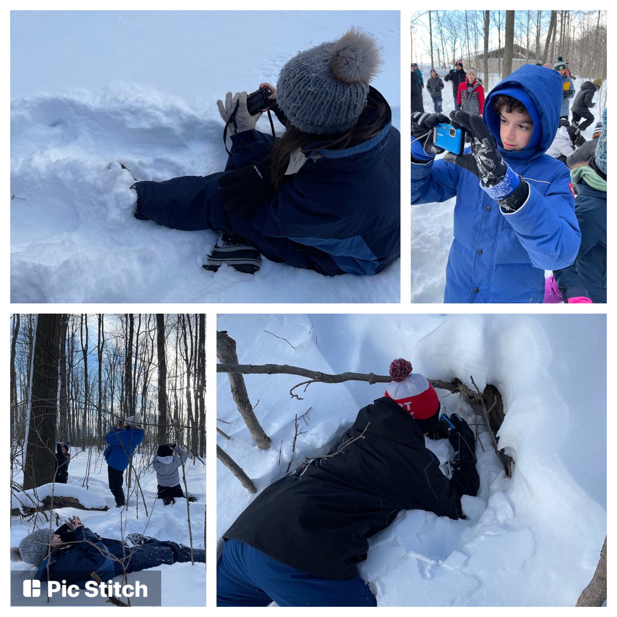 MsNadel's tweet photo. Two hours spent hiking and taking photos of the most incredible sites. Thank you #MonoCliffs for such an exciting afternoon. @bedfordparkpsto @TOES_TDSB https://t.co/iGCtfMmP1p