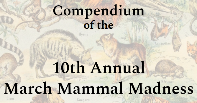 Oh it's Groundhog's Day Eve and all the world is magical! Tomorrow the new user structure to the LibGuide opens, the #2023MMM Educator Request form goes live, and the #2022MMM Tournament Booklet drops...