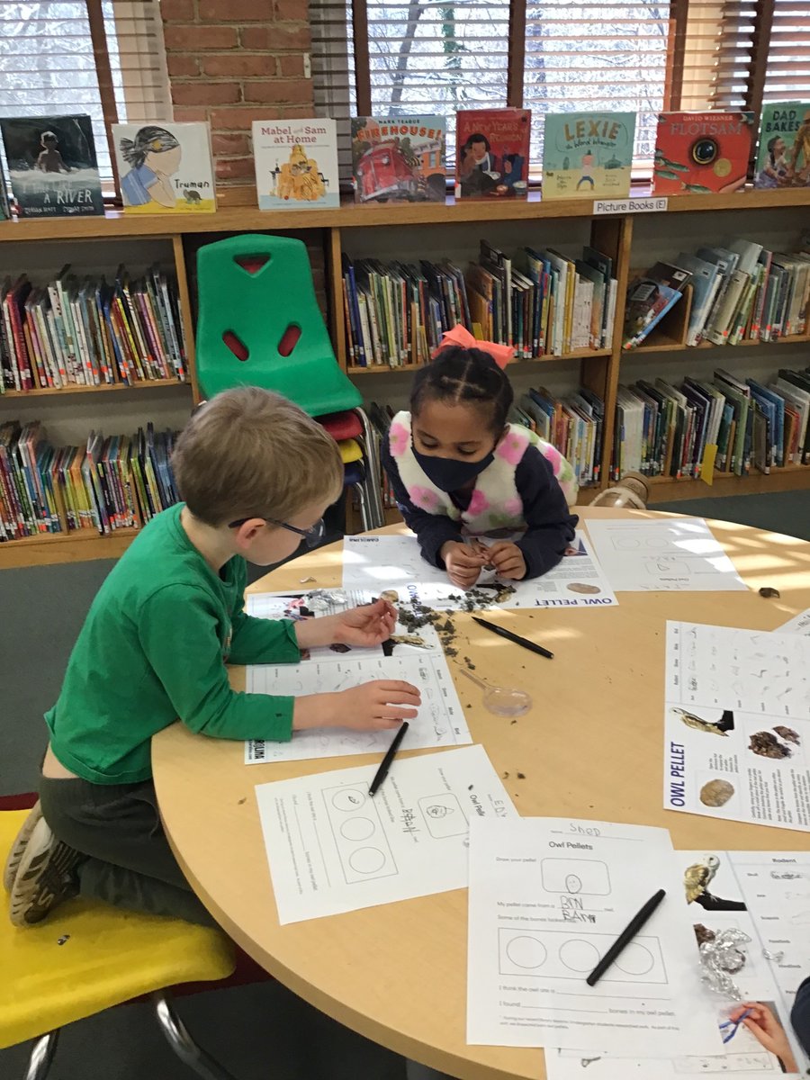 SSSAS_Library's tweet photo. Another great X-day in the Sinclair #SSSASLibrary! Our kindergarten ornithologists dissected owl pellets to determine what the owl ate as part of our guided research project. #SSSASKindergarten https://t.co/q5pz9WgGZv