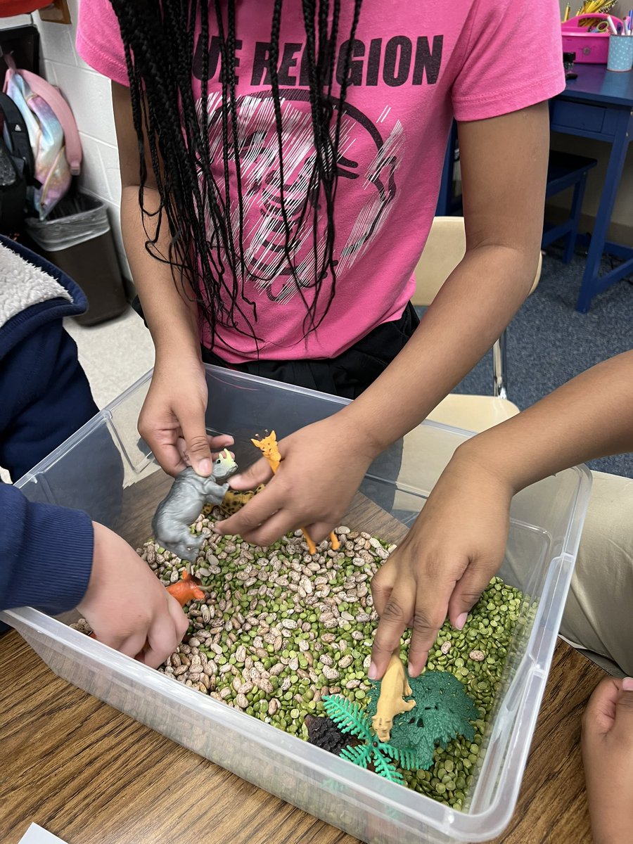 Amber Evans tweet media