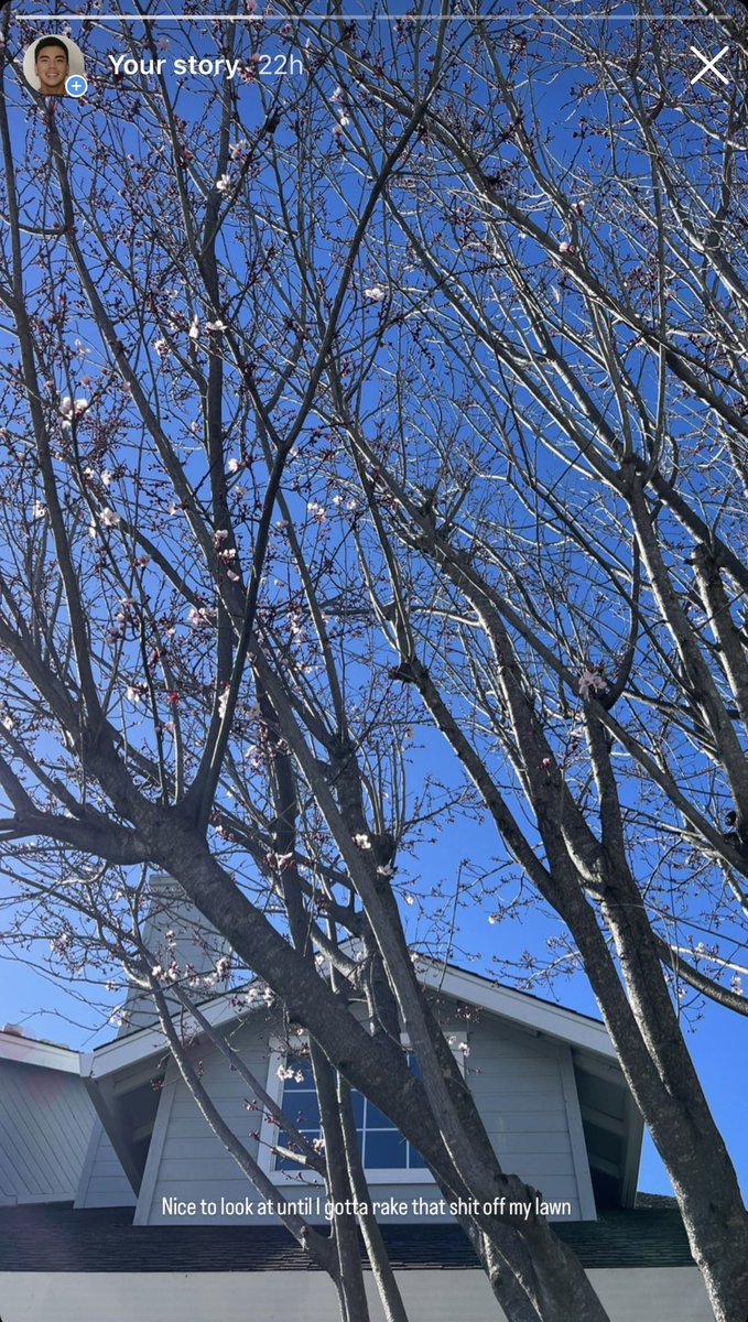 kchowder94's tweet image. Girl wtf shut up