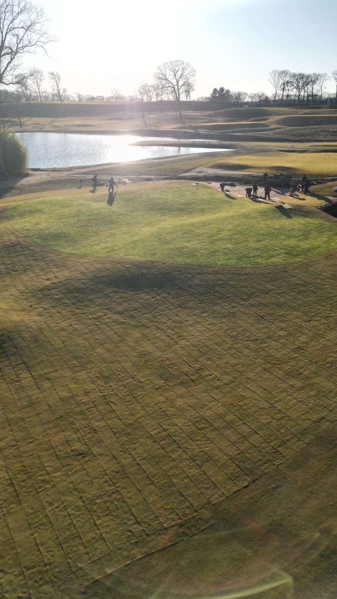 Jim Surico tweet media