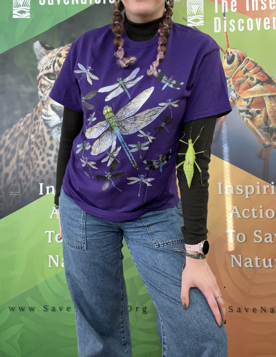 SaveNatureOrg's tweet photo. Looking for a great way to spice up your wardrobe? Check out our Etsy shop!

A portion of all proceeds supports purchasing and protecting threatened and endangered habitats worldwide 🌎

Here is a sneak peak of some of the shirts in our shop! (Giant Thorny Phasmid not included😊) https://t.co/o4kRJ3Xt8t