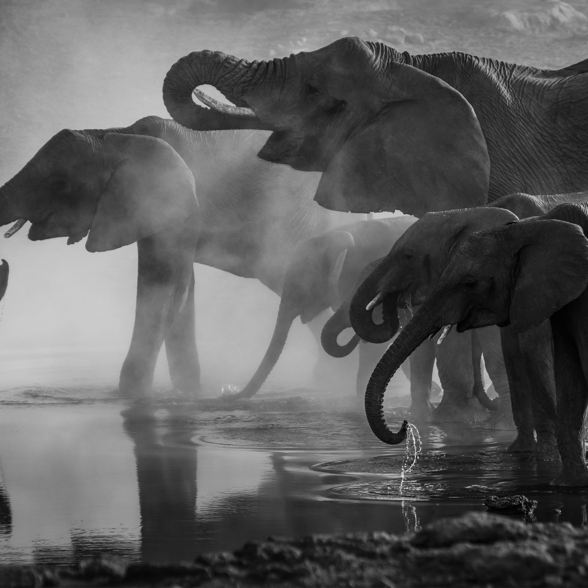 thewebscaledba's tweet image. zcu.io/L0T4 Buffer Header Queues in PostgreSQL  #PostgreSQL #PostgreSQLDBA #PostgreSQLPerformance