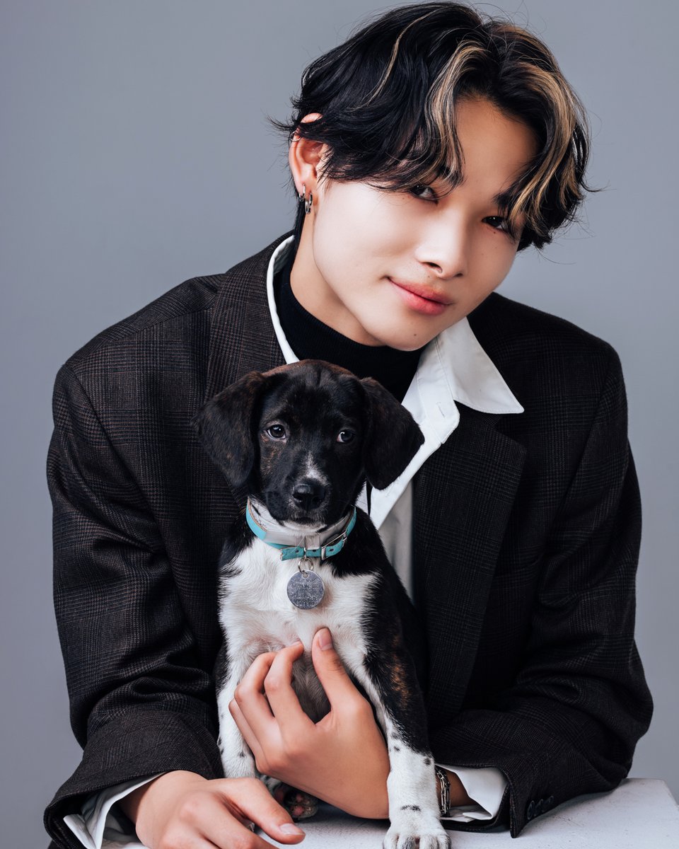 buzzfeedpuppies's tweet photo. NI-KI #니키 https://t.co/w5WfUT4F1u