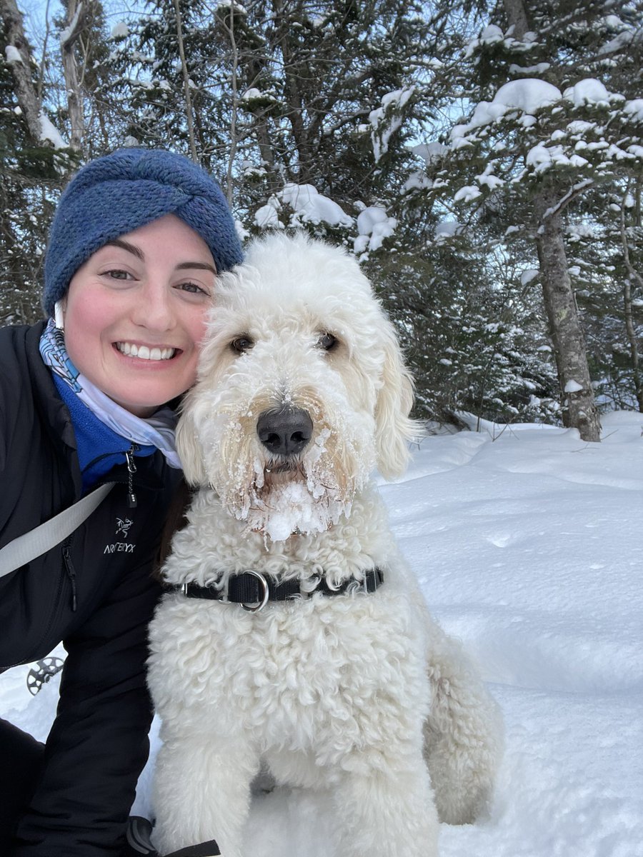 sarherst's tweet photo. @thenosm @CitySSM clerkship in northern Ontario means finishing family medicine clinic just early enough to sneak in a snowshoe before sunset ❄️ ✨ https://t.co/Fme9iEclZ5