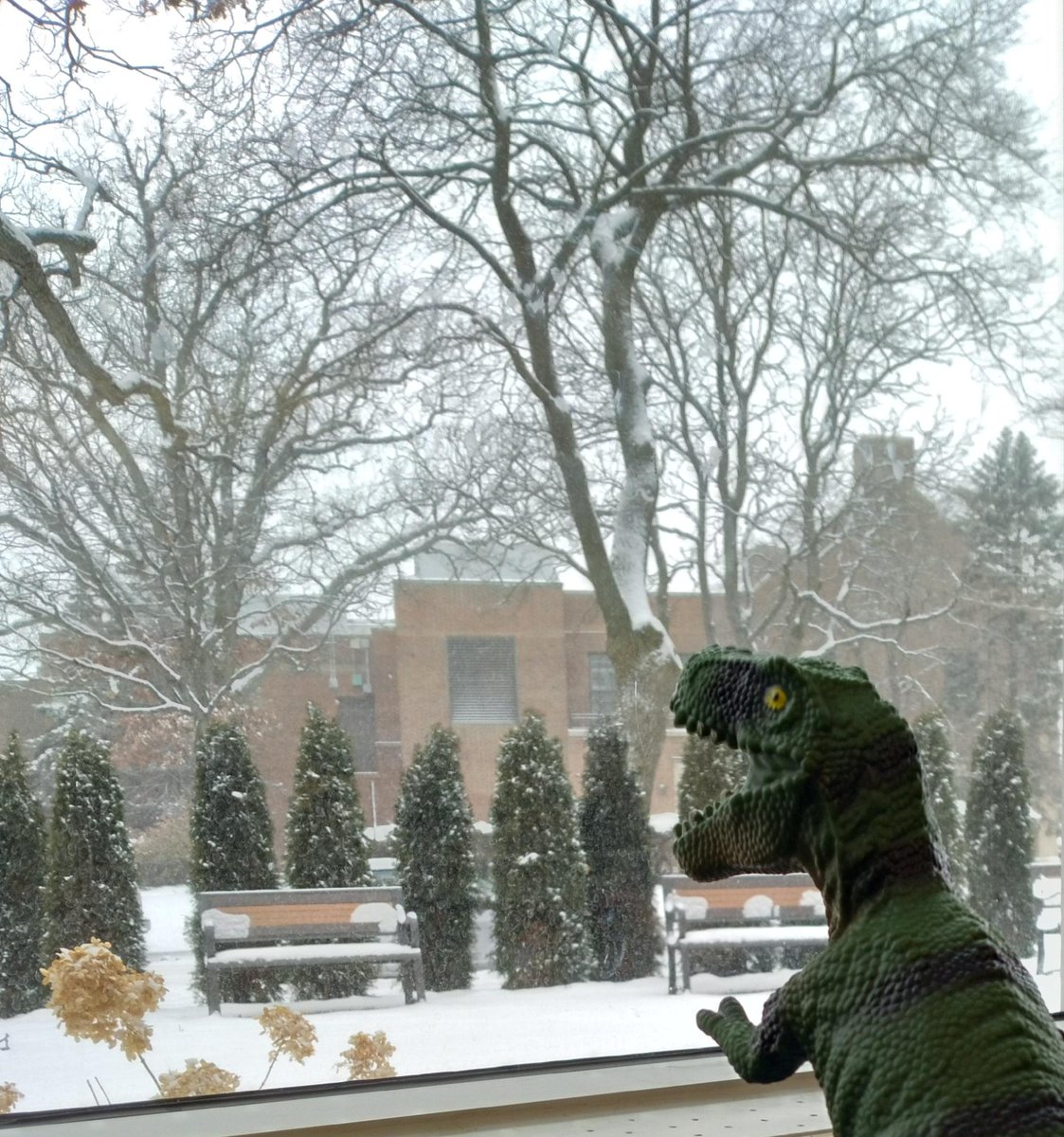 WinnLib's tweet image. How would you caption this?🦖 

#WNPLD #Dinosaur #WinnetkaLibrary #NorthfieldLibrary #jokes