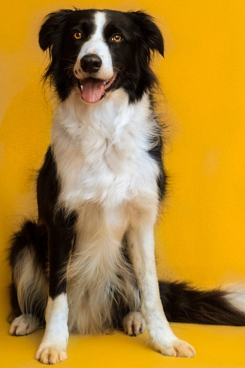 and Benji's choice for today is:
amzn.to/3JDk2hr