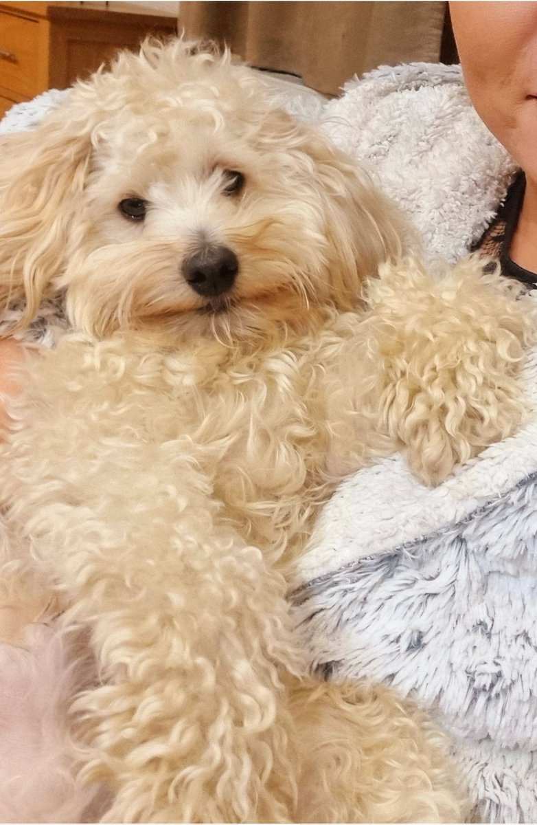 Gemma Brook MCIPR tweet media