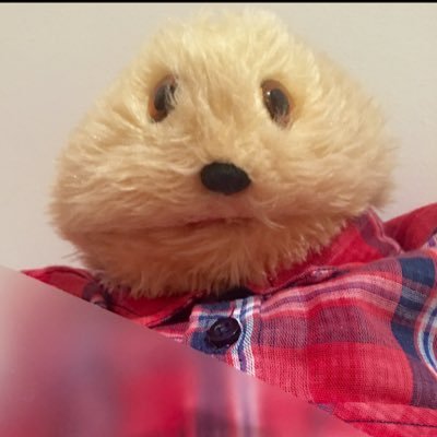 Gemma Brook MCIPR tweet media