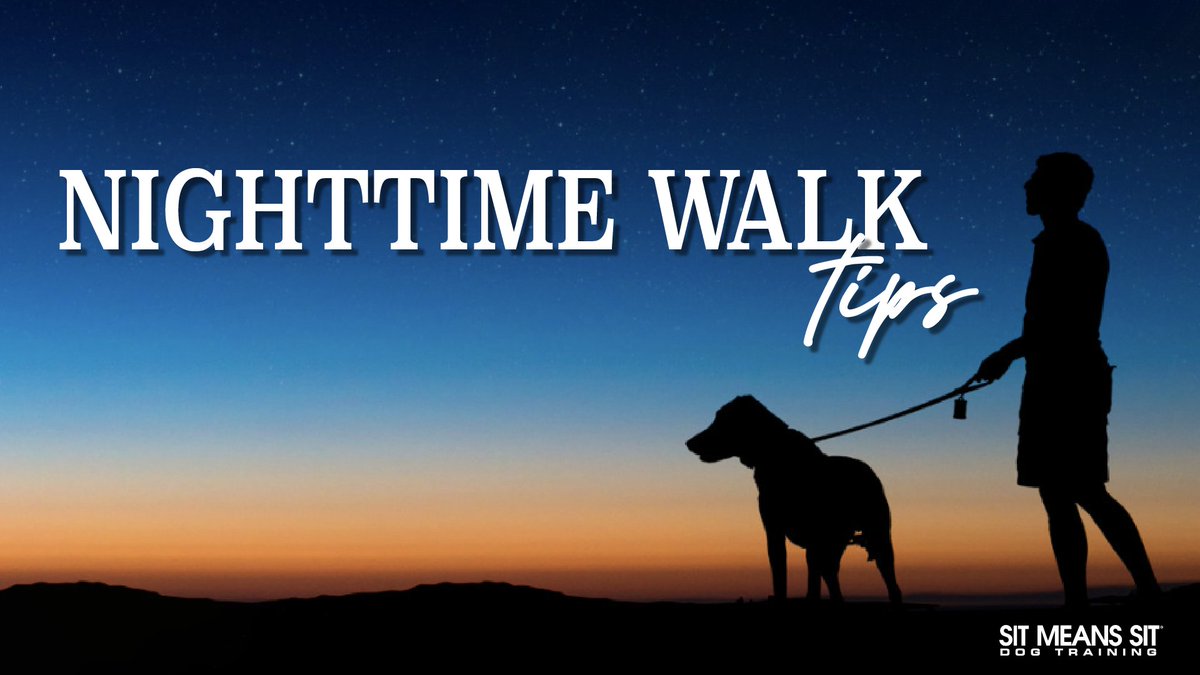 smsswlv's tweet photo. Staying Safe on Nighttime Walks | https://t.co/mMbwoG2Qh8 https://t.co/r1KClmqPcr