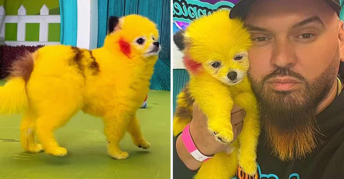 Bro no me importa nada esto es maltrato animal 🙄