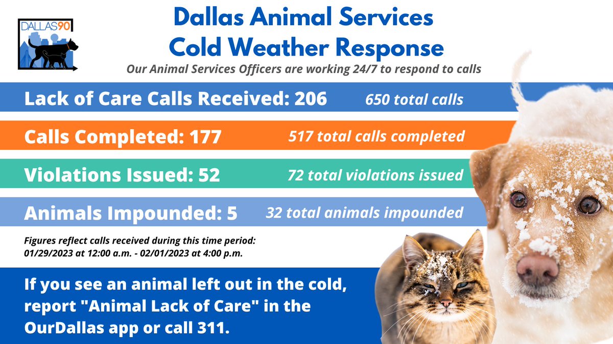Dallas Animal Services (@DallasShelter) / Twitter