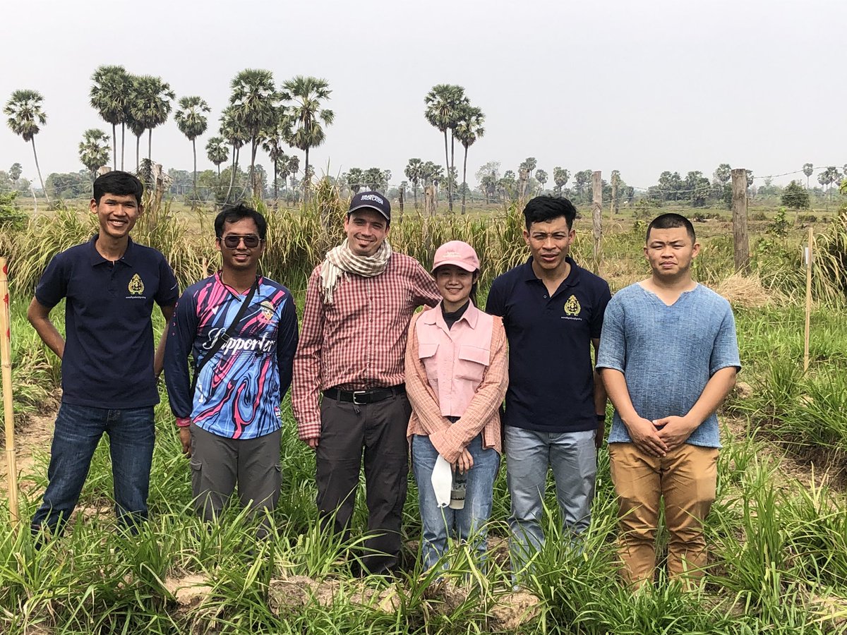 _mattdenton_'s tweet photo. Great to join former @ACIARAustralia @dfat @AgrifoodUoA @UniofAdelaide John Allwright Fellow PhD student @huot_chanthy and new JAF @PenglyKOUN in #Cambodia for the #forageoptions project. Strong responses to potassium addition at some sites @UofA_SET @waiteresearch https://t.co/J1jou1B6fb