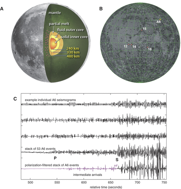 https://www.science.org/doi/10.1126/science.1199375