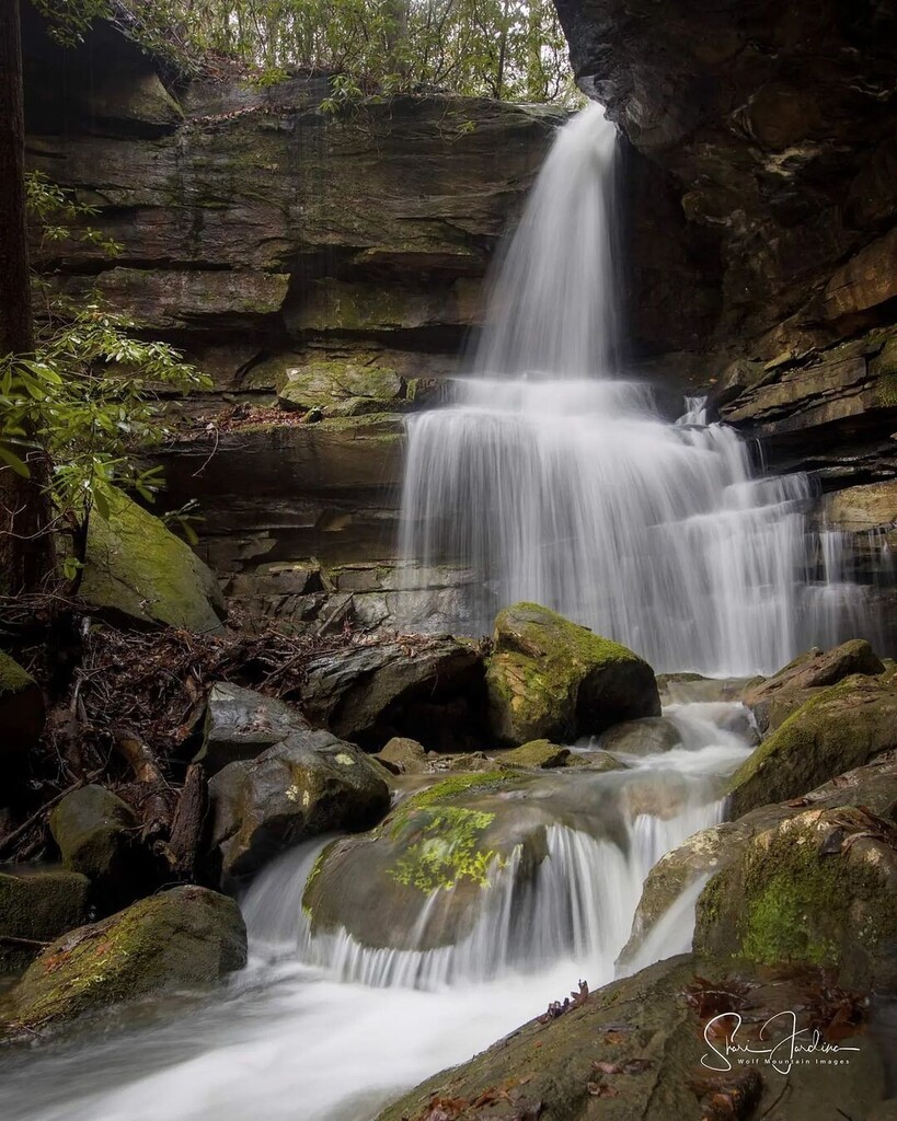 Today’s Happier Place is brought to you by Happier Ambassador @wolfmtnimages from Kentucky, USA. 

Use #HappierPlace to get featured
Follow: <a href="/happier_place/">andrew perry</a>

Personal tag: #happier_wolfmtnimages
Location tag: #happier_USA #happier_Kentucky

———————
𝗧𝗮… instagr.am/p/CoIuJJkglP_/