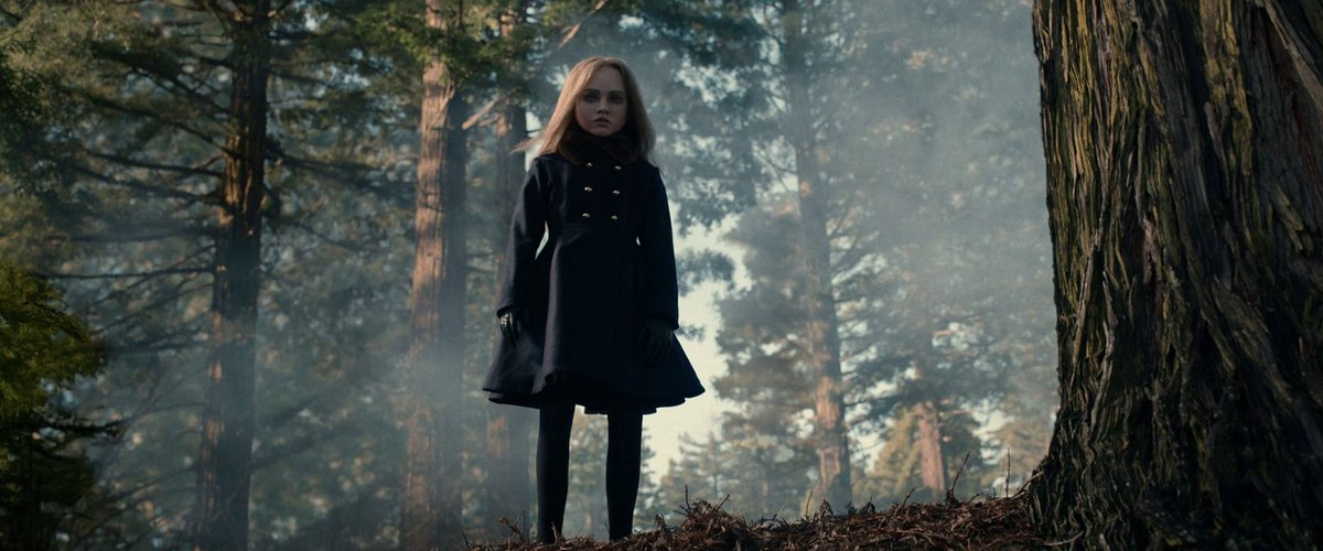 Cinematografia. on Twitter: 