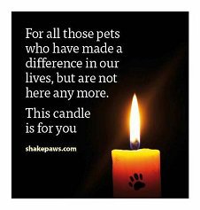 lovestowe's tweet photo. @EarpSista 😥💔 https://t.co/I3eVQ7zOVb