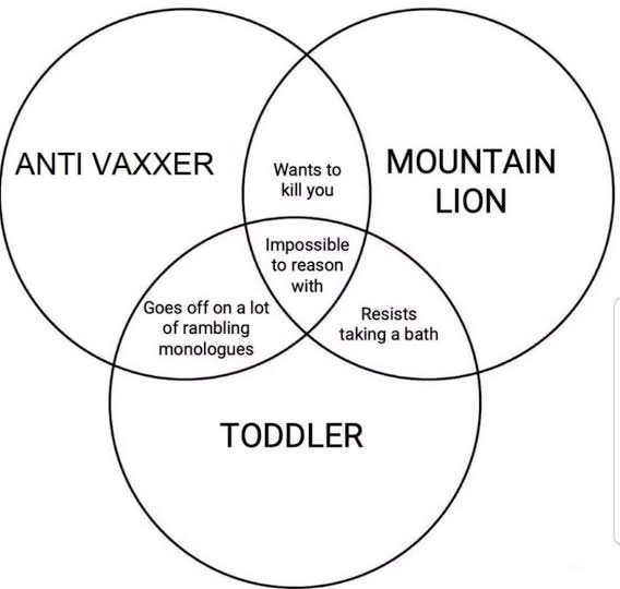 Beware the Moon tweet media