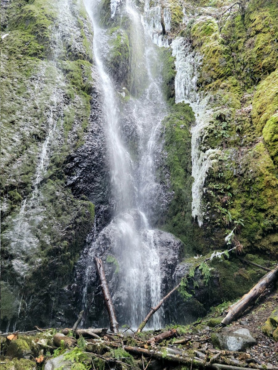 @UnionGapWA @CharlesMcCool @FunInFairfax @bryankgreenberg @renefabre @RKougel @eatlivestay @indianadunes @rshreeves @StuckOntheGo @szilviade_ @pubclub @VisitGJ @em_luxton @travelingmitch @TravelInStyle8 Hiking in the Columbia River Gorge! Taken today, on the Herman Creek Trail.