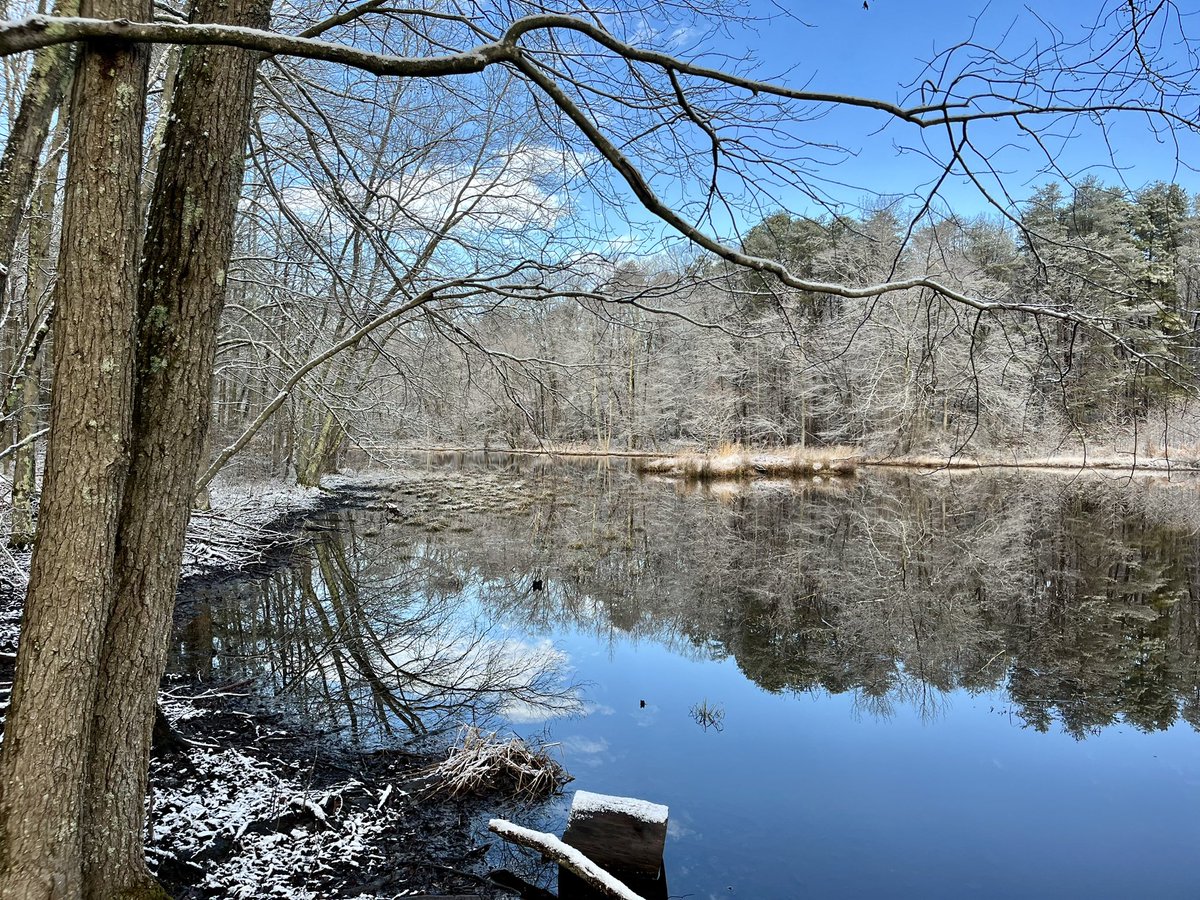 eshansen_2's tweet image. A nice walk in the woods before the snow melted this AM at Patuxent Research Refuge
@capitalweather