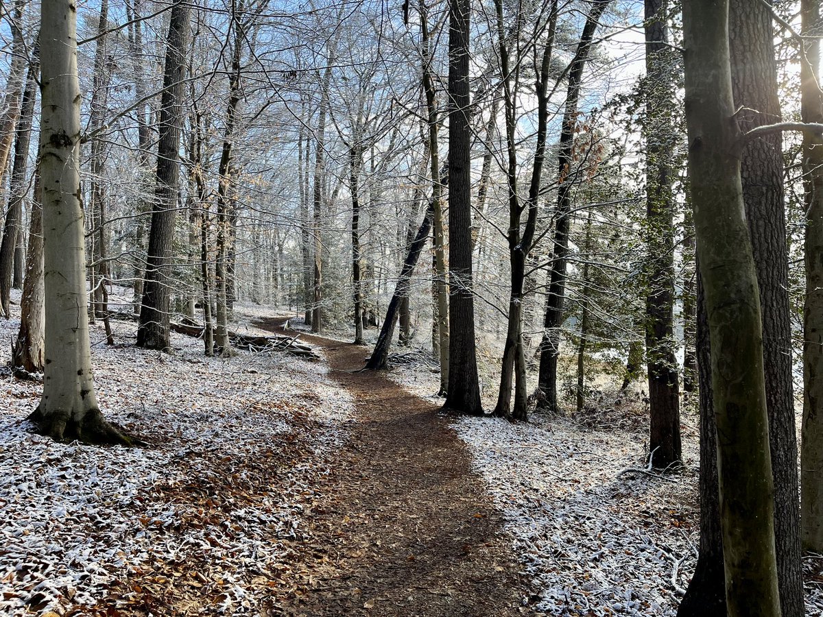 eshansen_2's tweet image. A nice walk in the woods before the snow melted this AM at Patuxent Research Refuge
@capitalweather