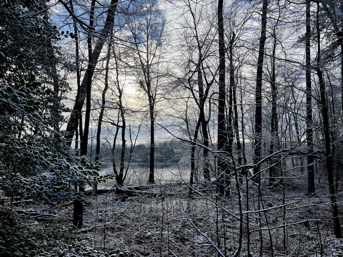 eshansen_2's tweet image. A nice walk in the woods before the snow melted this AM at Patuxent Research Refuge
@capitalweather