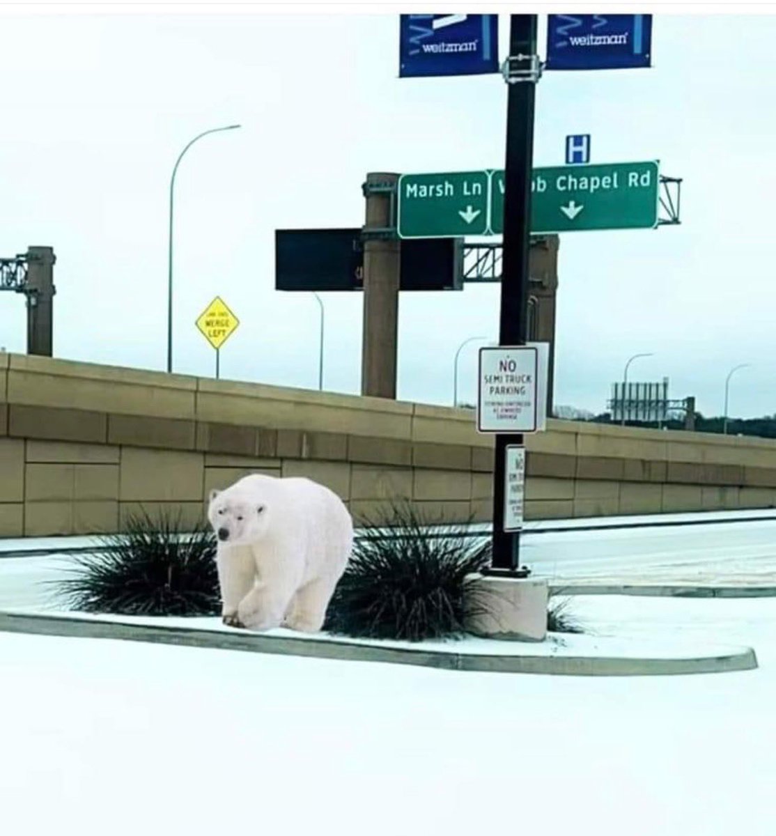 Cynthia Izaguirre tweet media