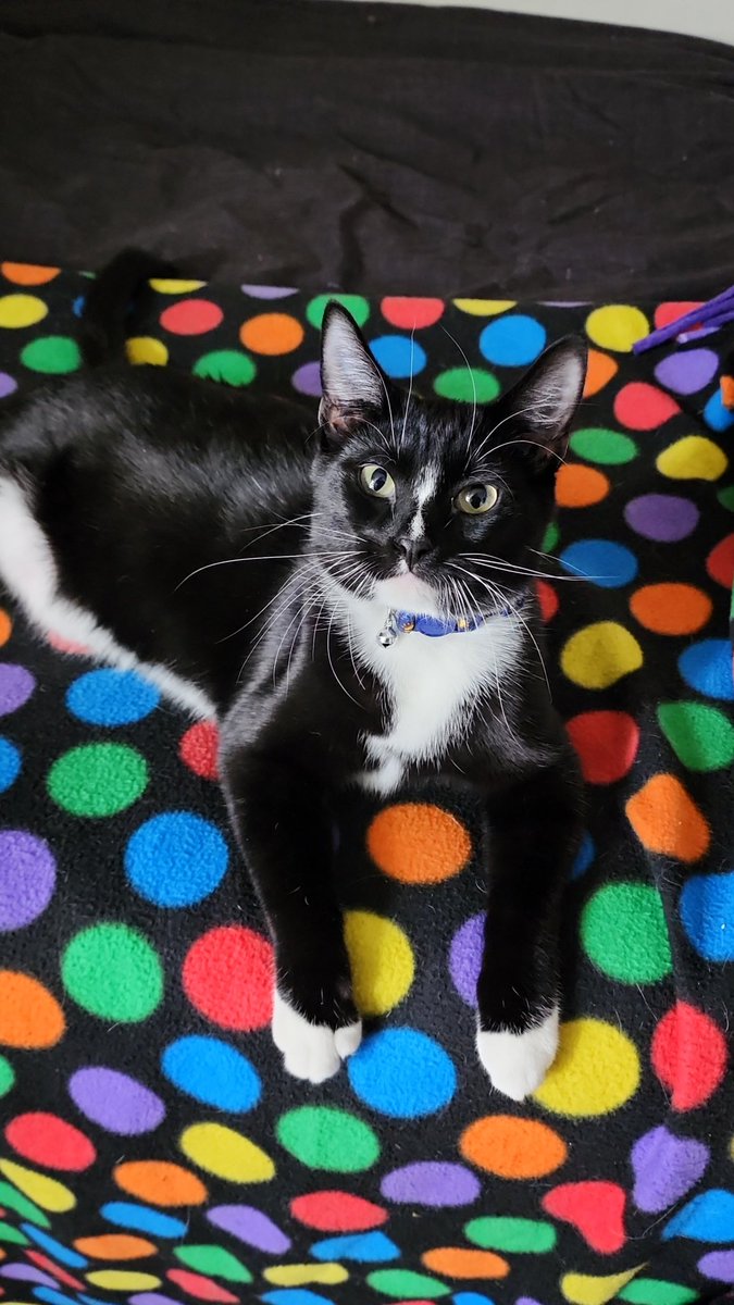 liminalterror's tweet image. #WizardWednesday! Here she IS!!