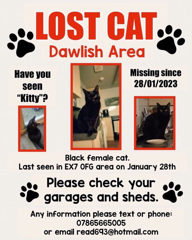 MarlinIsAGoodB1's tweet image. Do I hamv any pals in the DAWLISH, Englamb area? Pleamse keep an eyebone open fur lil Kitty, who is lomst an neebs to fimb hers way home! #CandleforKitty #BlackCat #LostKitty #dogsoftwitter #DogsofTwittter #DogsOnTwitter #CatsofTwittter #CatsOfTwitter #CatsOnTwitter #Anipals