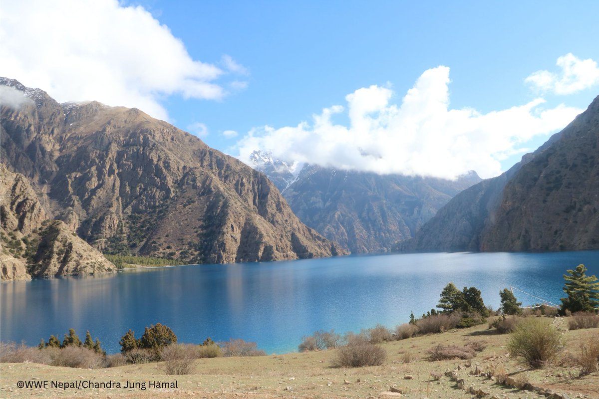 Happy Wetlands Day! Wetlands are considered the 'kidneys' of the earth. To learn more about the importance of wetlands and how WWF Nepal is working to revive them, click here: youtube.com/watch?v=jo1Z2H…

#WetlandsDay #WetlandsRestoration #forpeopleandnature