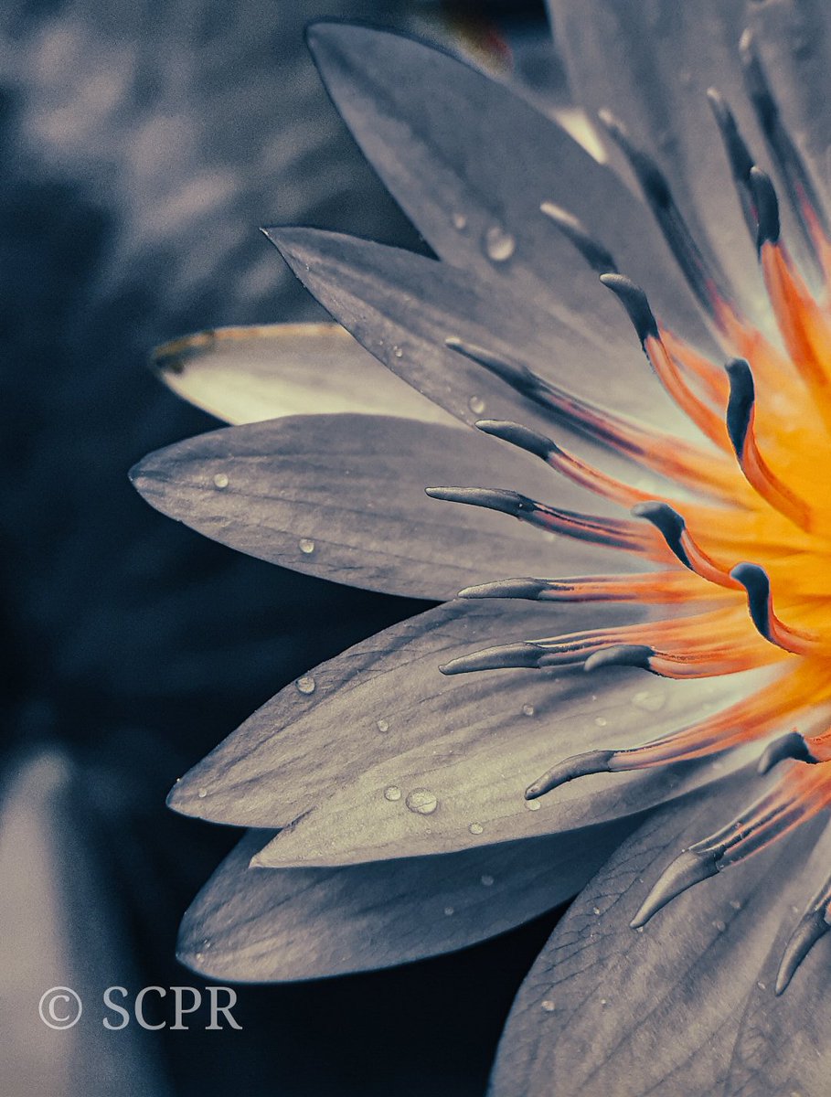 Satheeshchandran P R tweet media