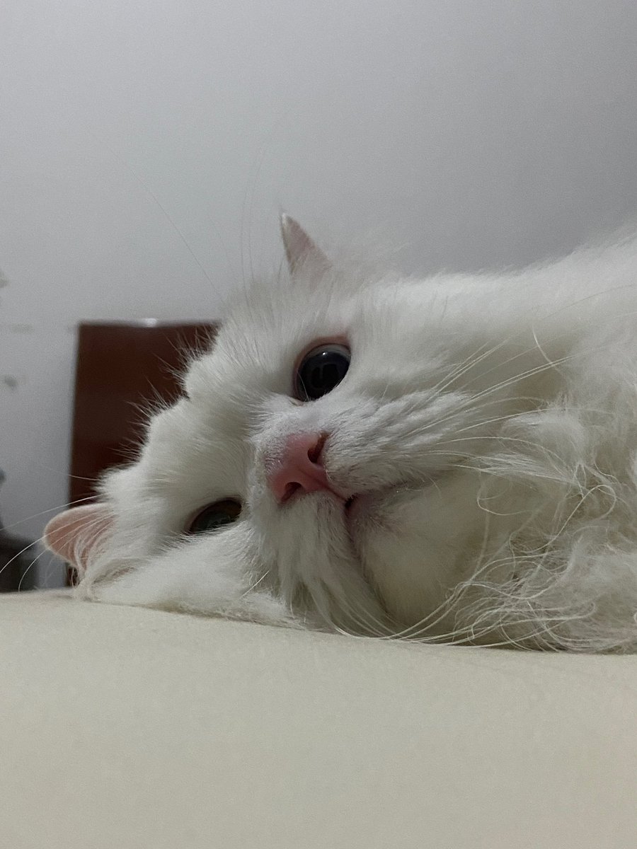 15 menit⏱️⏱️⏱️
shopee.co.id/tokodutpedia