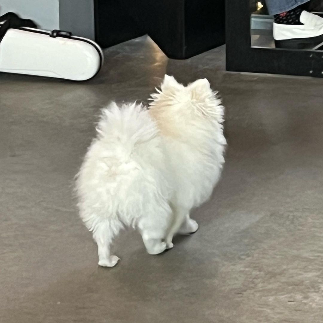 PortalOX's tweet image. 01.02.23 | [📸] _xenuis Instagram 

"Fev.
.
.
#Hoje_também #Café #pymt #☕️#🫧 "

#오메가엑스 #OMEGA_X #XEN #젠