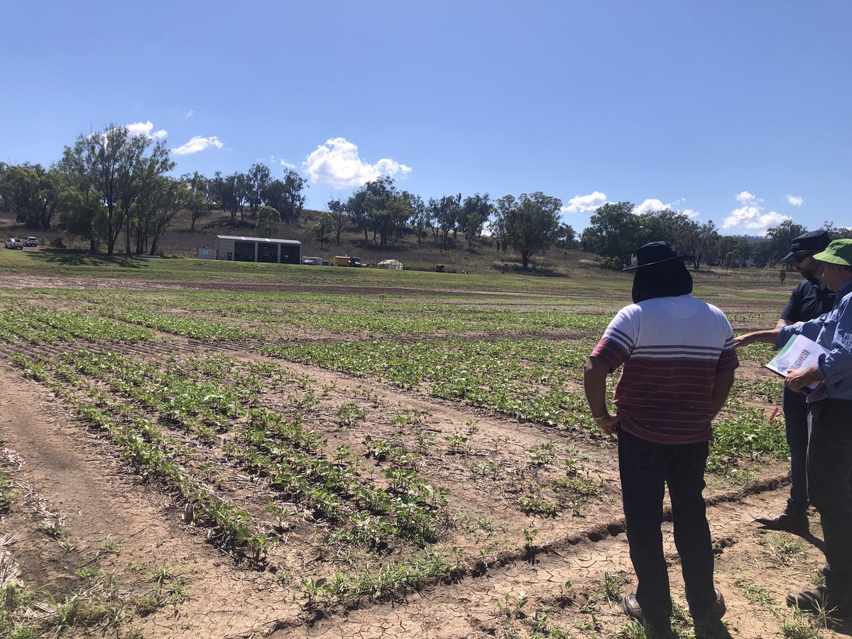siezelife's tweet photo. Brilliant visit to our @BASF_Agro_Au  Crop Solutions Farm in Tamworth. Wonderful to catch up with new and old colleagues. Awesome to see our products kicking butt in the field. https://t.co/dKwd6fU9nb