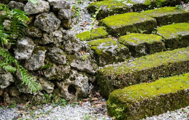 The next ZEN class will be held online on Febrary 3rd at 16:00 (JST)!
We will distribute via Facebook and YouTube.
Please prepare a Zafu (or cushion) and wear clothes that are easy to move and join in!See you soon!
FB:facebook.com/InternationalD…
YouTube: youtube.com/user/SOTOZENNET