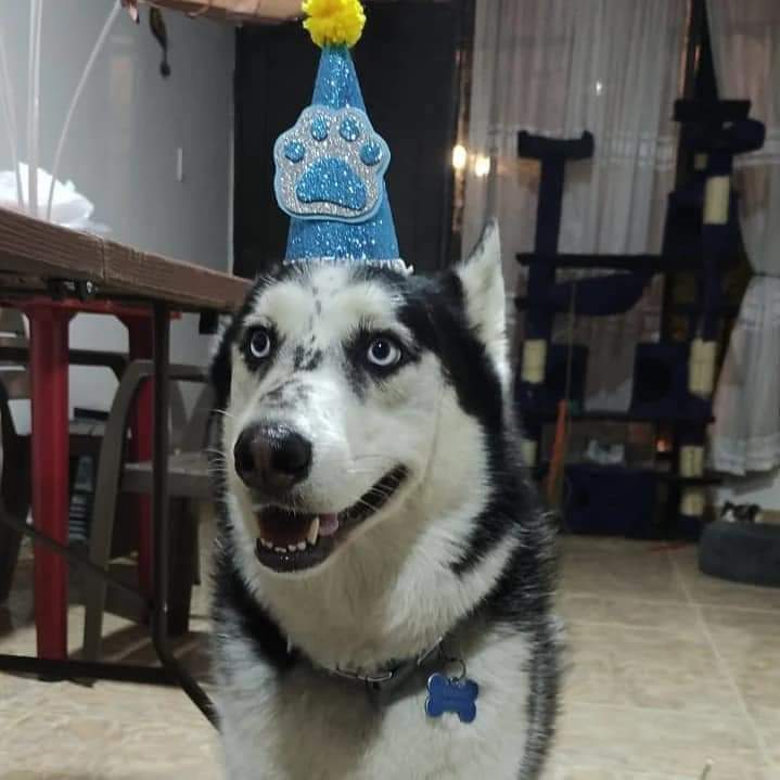 Today is my birthday hope I get some love here 💕