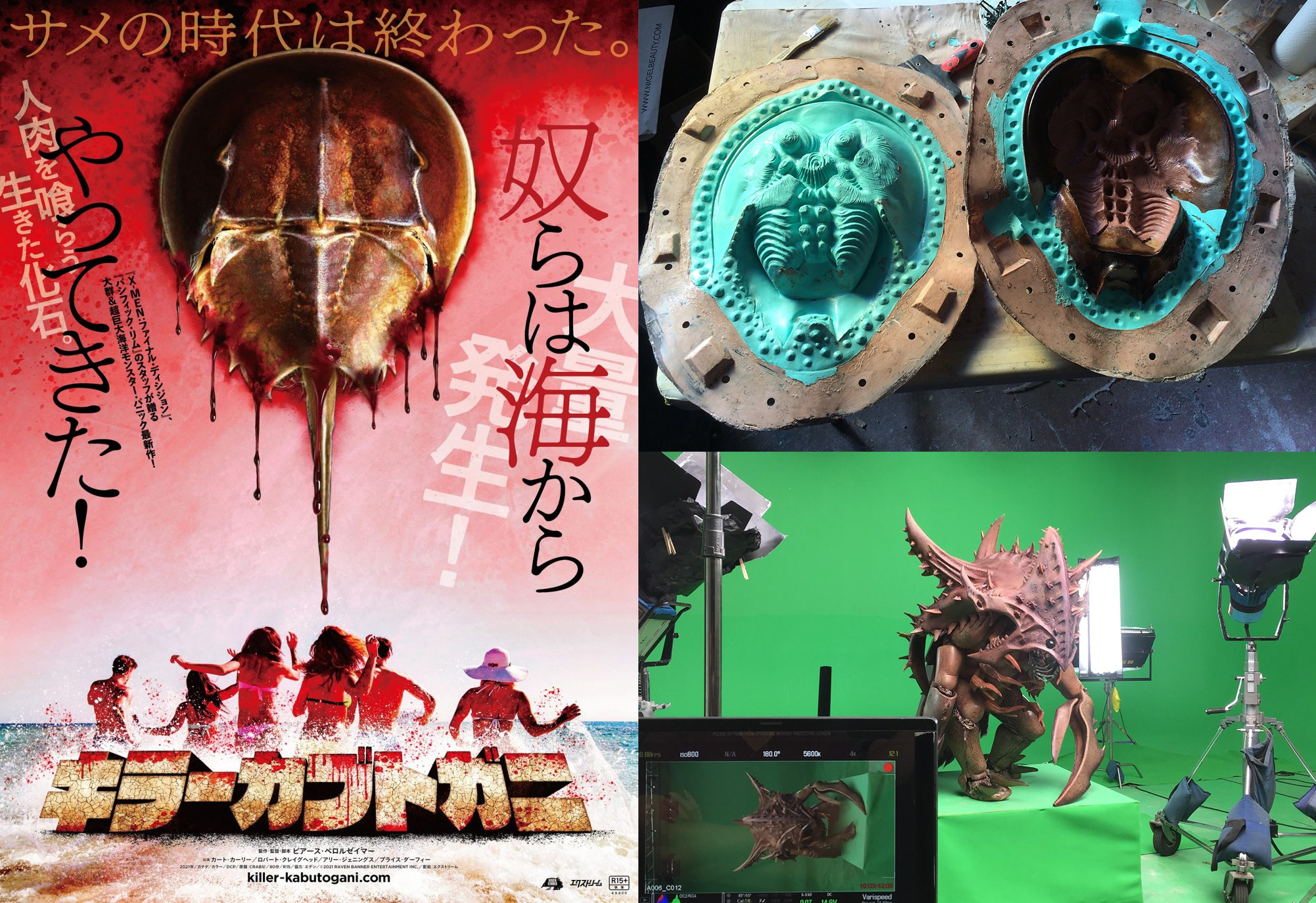 Amazon.co.jp: キラーカブトガニ [DVD] : カート・カーリー