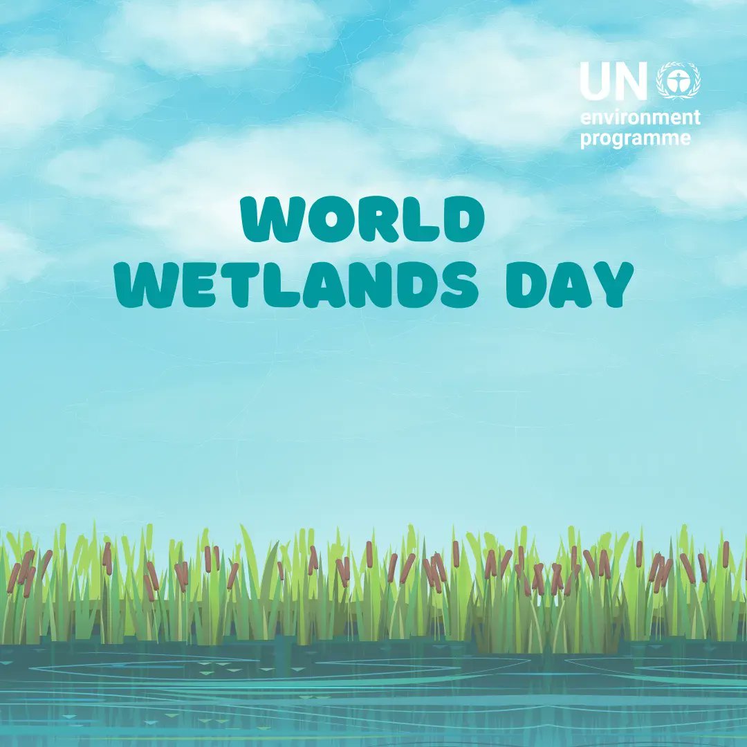 Wetlands are vital for humanity because they

🔵 Store more carbon than forests
🔵 Help shield coastal communities in extreme weather
🔵 Are a source of livelihoods

#GenerationRestoration #ForWetlands.

#WorldWetlandsDay

bit.ly/3QUgI2L
