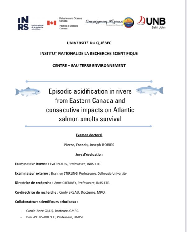Just finished and submitted my PhD research proposal 🥹🫡 So much work put in that report and in my PhD overall 🥹 A big thank you to my amazings supervisors @ACremazy, Cindy Breau, and research collaborators @CaroleAnnGillis and @invivoexvivo 🥂 #AcademicTwitter #atlanticsalmon