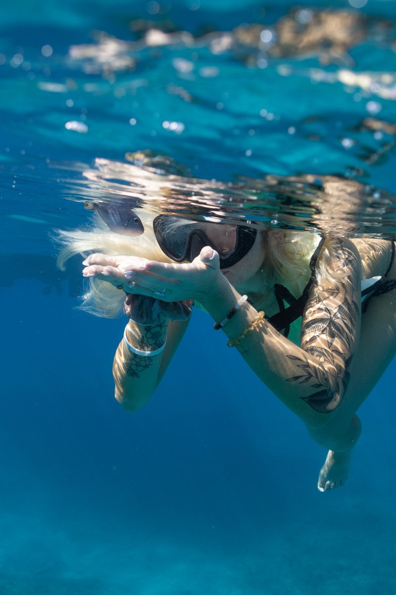 DolphinsAndYou's tweet photo. Become so at peace with yourself that even the fishes swim toward you 🐠 #fish #peaceful #calm https://t.co/oZXxYsiXsK