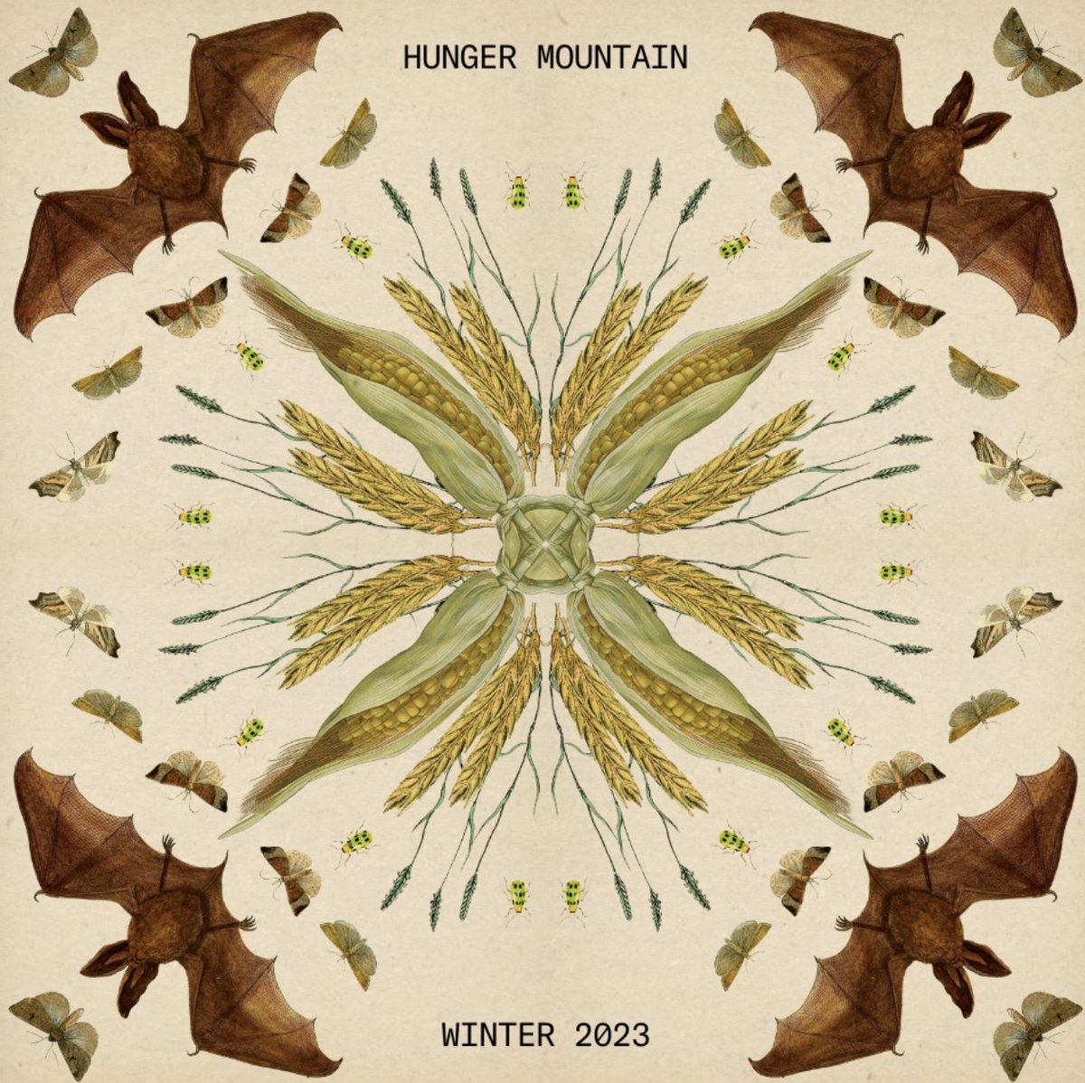 HungerMtn's tweet image. We are thrilled to share HM Issue #27! Sincerest thanks to all of the incredible writers featured in this issue. hungermtn.netlify.app/issues/hunger-…