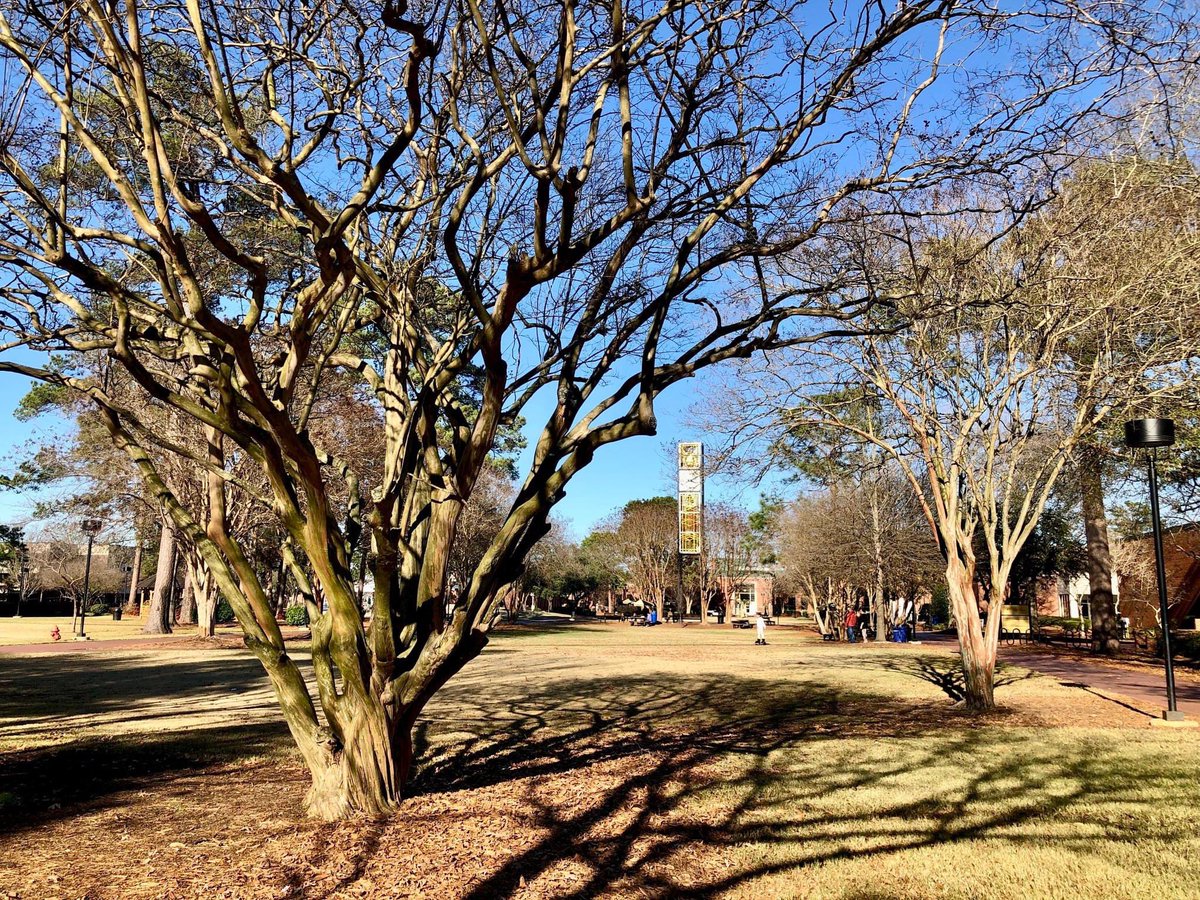 JoannaHersey's tweet photo. Look at us almost through #Week4 way to get this #BraveNation #SpringSemester2023 🙌🏼🙌🏼🙌🏼 https://t.co/jUIpOFbYXj