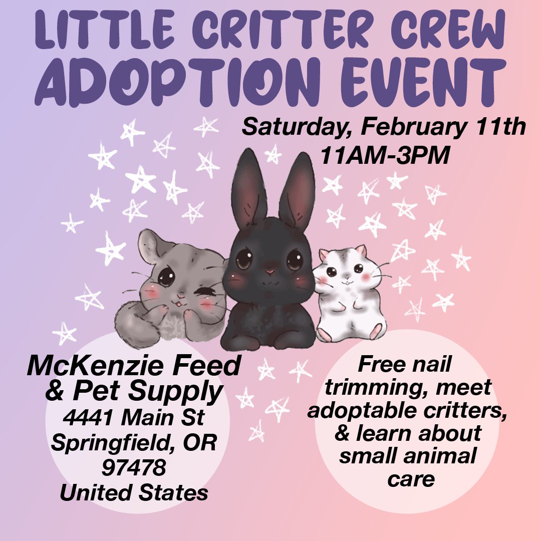 We are happy to announce that we'll be back for our second adoption event at Mckenzie Feed and Pet Supplies on February 11th, 11am-3pm in Springfield Oregon! Our team kindly asks that anyone stopping by only bring RHDV2 vaccinated rabbits to reduce risk to your pet and others.