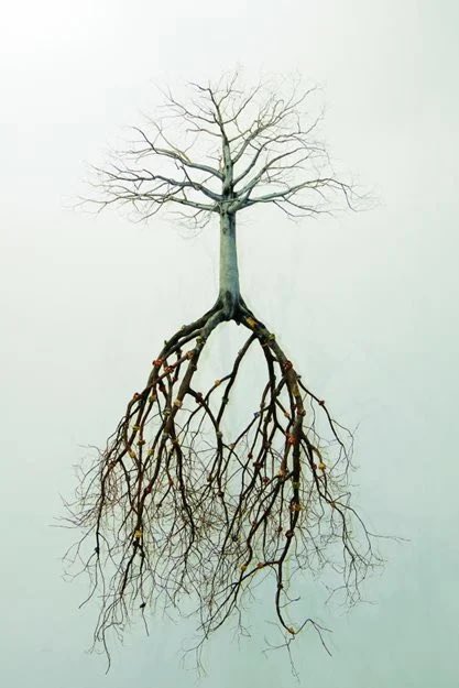 HoodooHealing's tweet image. Don't book a reading with a #rootworker if you aren't ready to work. Hoodooist &amp;amp; Rootworkers give prescriptions. Many times a client is given something small to carry out or sent away a few times to work with their ancestors. Before extensive work to see your effort &amp;amp; dedication