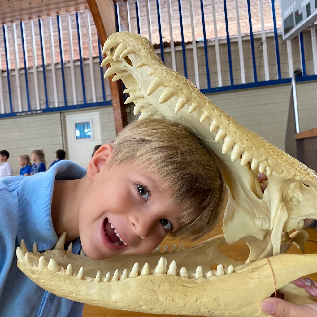 HolyNativity's tweet photo. 🐾Fur real, this morning's zoo-to-you presentations were clawsome! The kids went wild for all the animal knowledge. Thanks to our community partners at The Honolulu Zoo Society for bringing this program to HNS.
#ZooToYou #HonoluluZoo #HNS #HolyNativitySchool https://t.co/bp2UMrxTXG